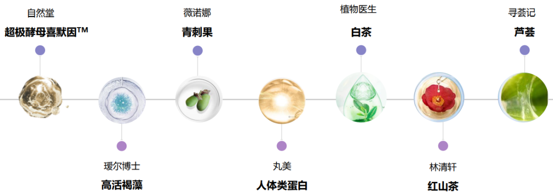 中國(guó)美容博覽會(huì) 中國(guó)美容博覽會(huì)