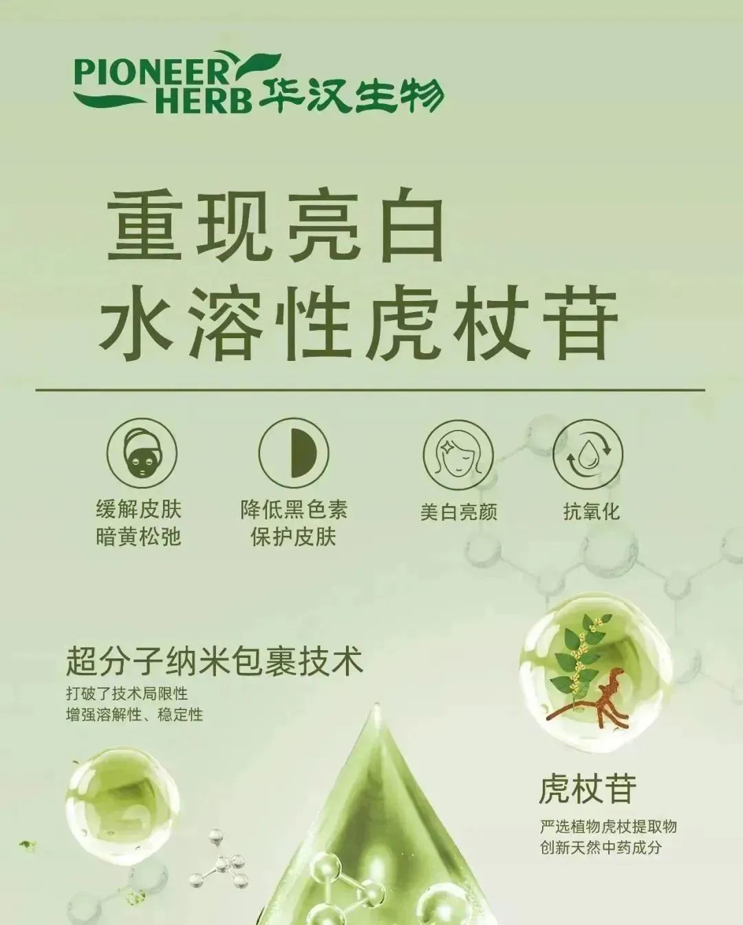 中國(guó)美容博覽會(huì)