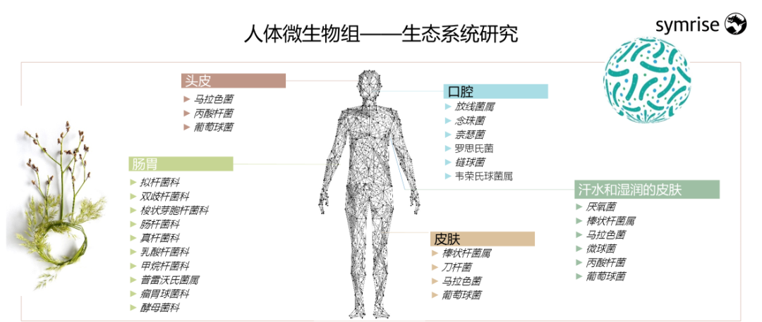 中國美容博覽會