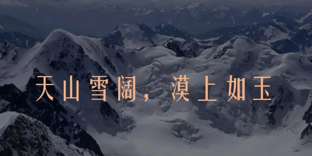 1705890403108519.jpg WeChat Image_20240122102502.jpg
